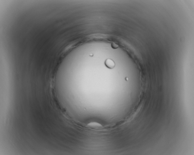 X0000114071169200910051010