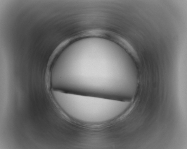 X0000114071180200910051009