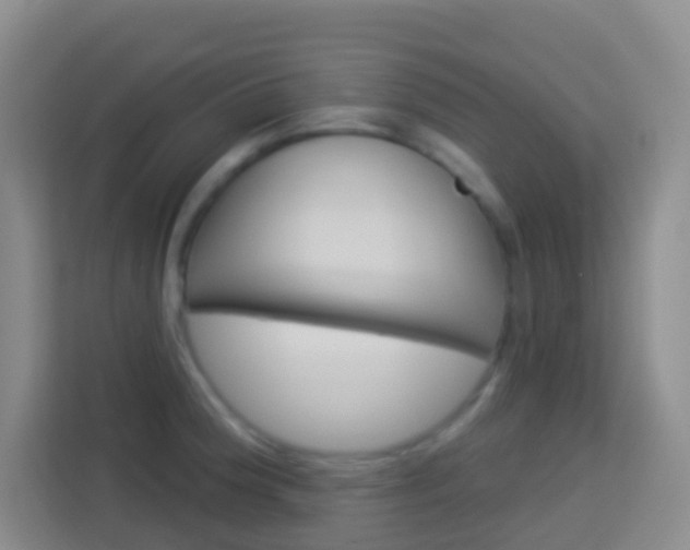 X0000114071188200910051009