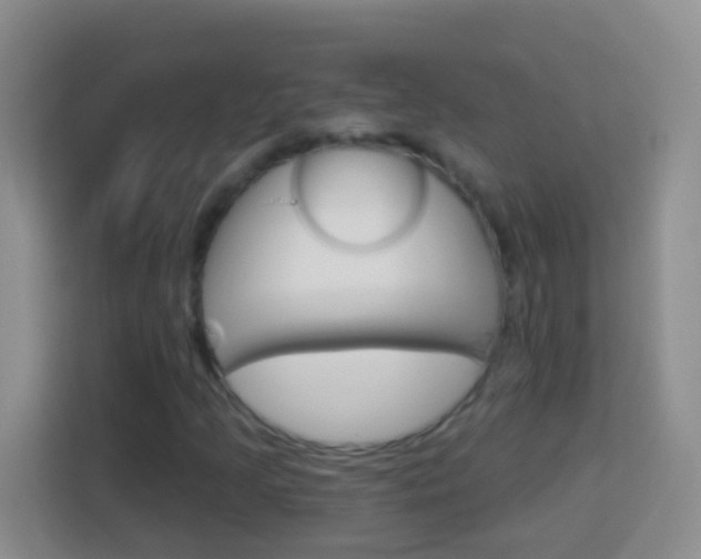 X0000114071205200910051008