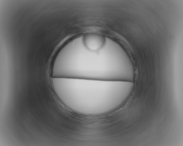 X0000114071212200910051009