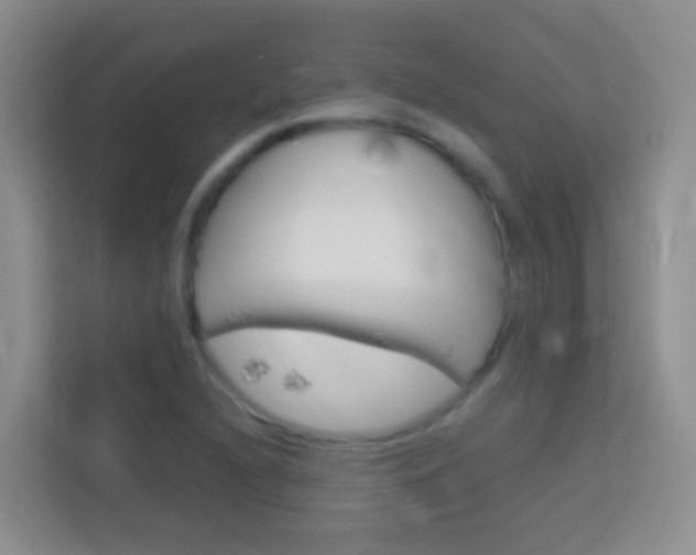 X0000114071216200910051009