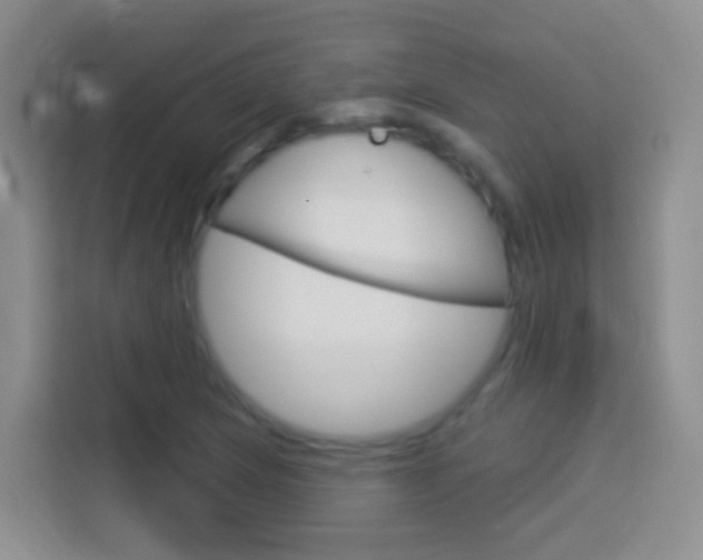 X0000114071217200910051009