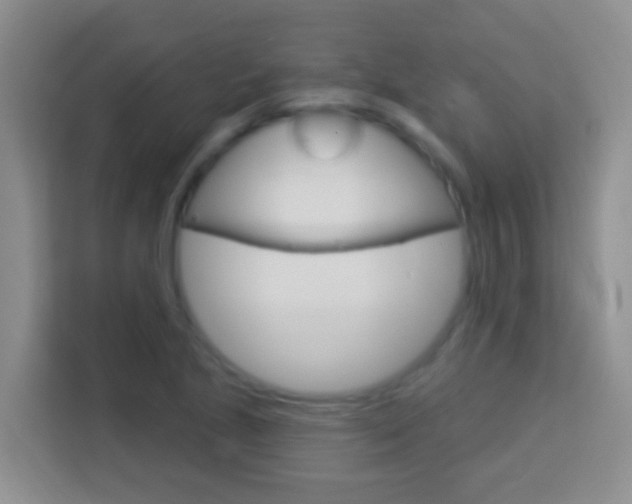 X0000114071221200910051009