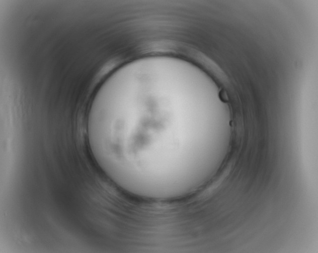 X0000114071226200910051009