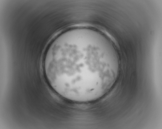 X0000114071229200910051009