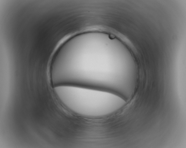 X0000114071230200910051009