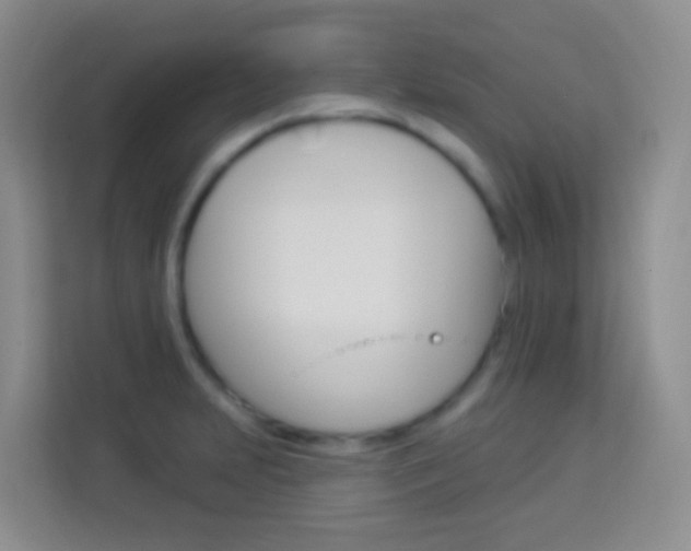 X0000114071231200910051009