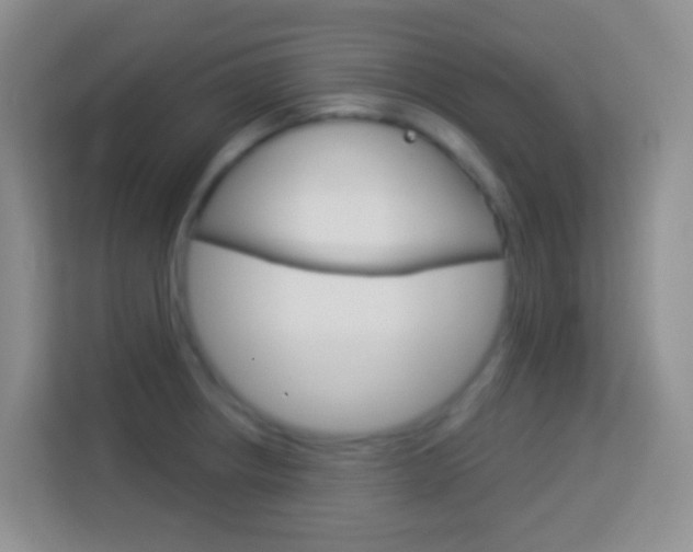 X0000114071234200910051009