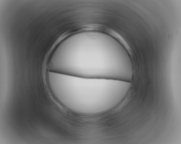 X0000114071235200910051009