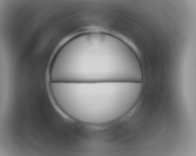 X0000114071239200910051009
