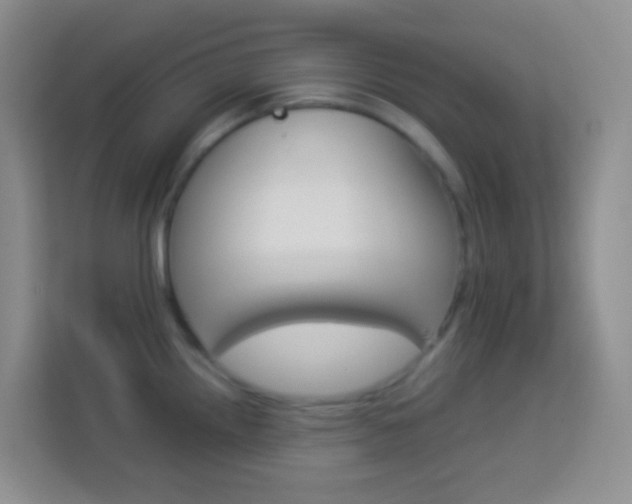 X0000114071242200910051009