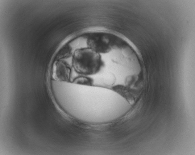 X0000114071245200910051009