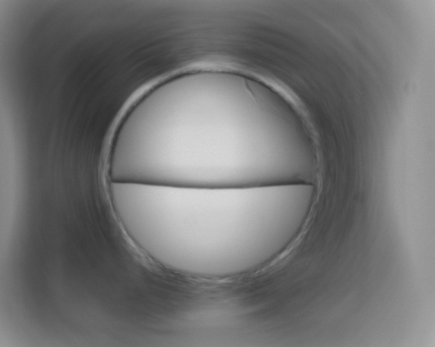 X0000114071248200910051009