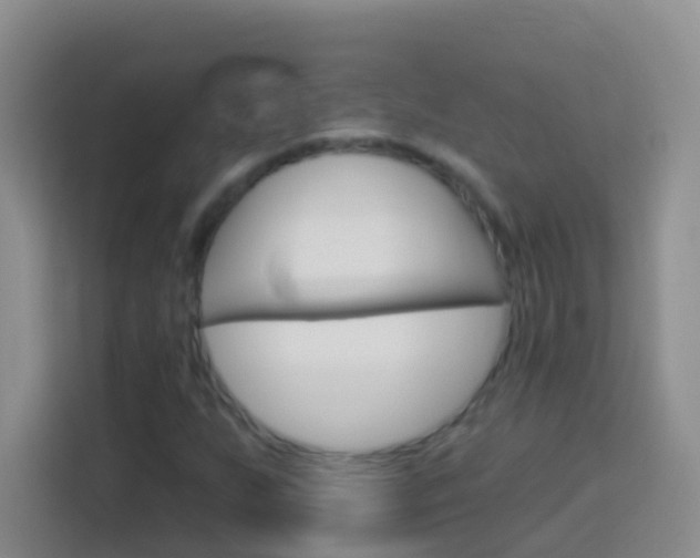 X0000114071255200910051008
