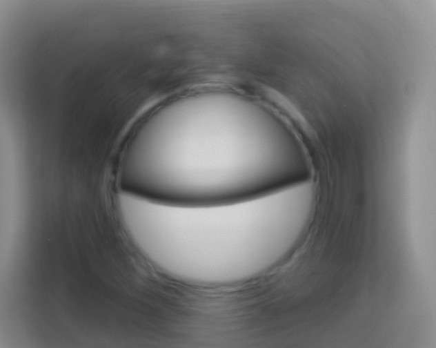 X0000114071260200910051008