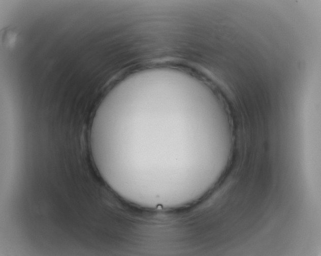 X0000114071265200910051008