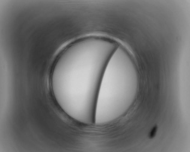 X0000114071271200910051008