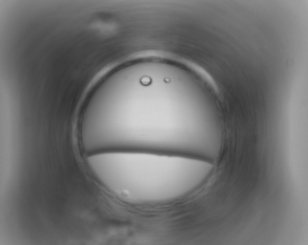 X0000114071279200910051008