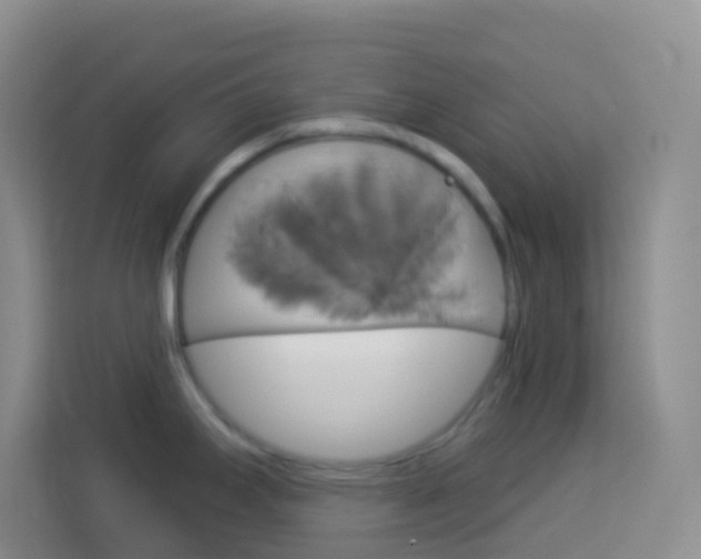 X0000114071295200910051008