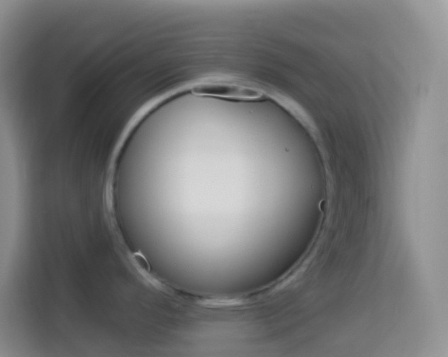 X0000114071296200910051008
