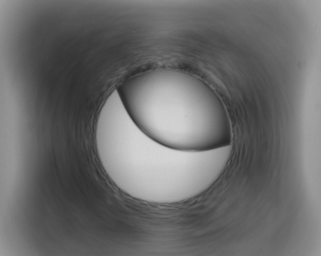 X0000114071298200910051007