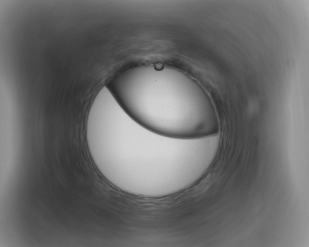 X0000114071300200910051007
