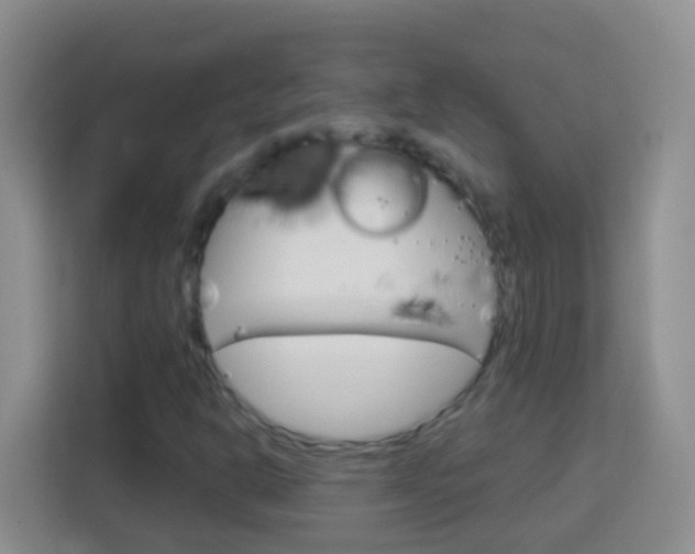 X0000114071302200910051007