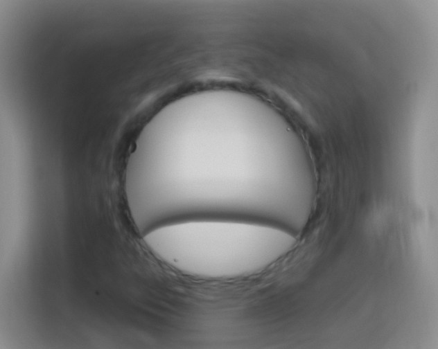 X0000114071303200910051007