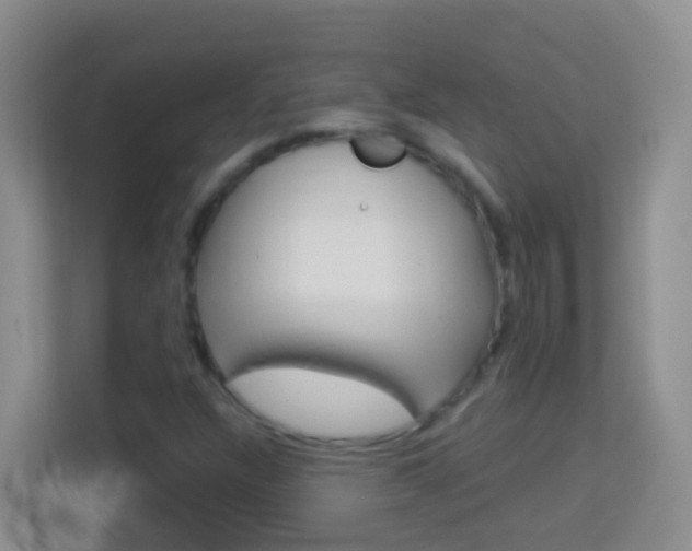 X0000114071304200910051007
