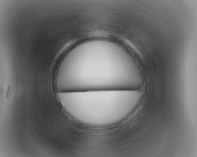 X0000114071307200910051007