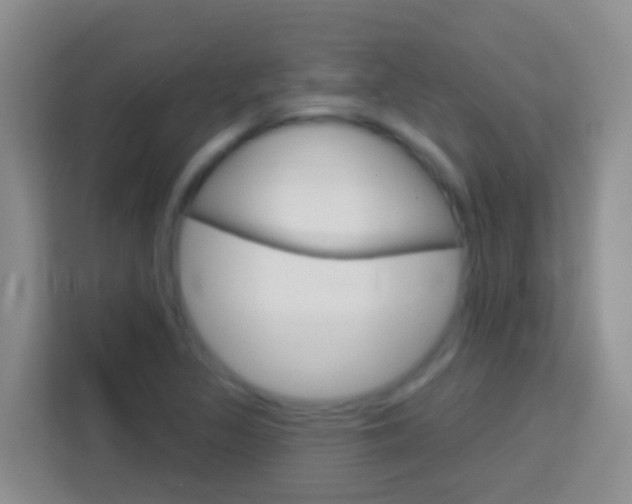 X0000114071317200910051007