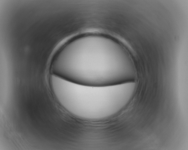 X0000114071319200910051007