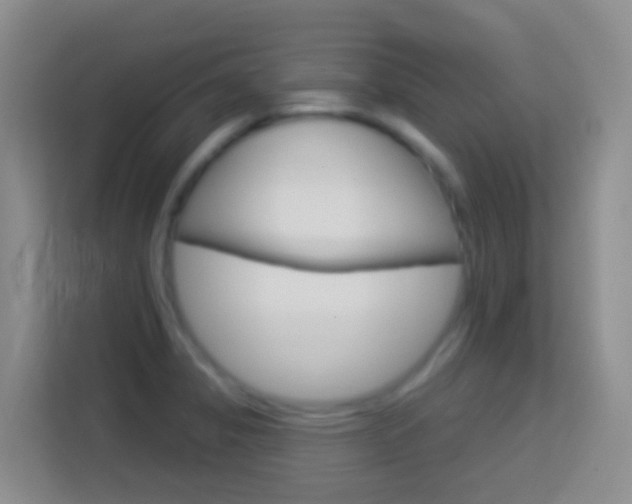 X0000114071325200910051007