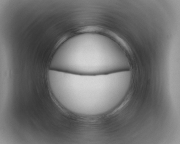 X0000114071329200910051008