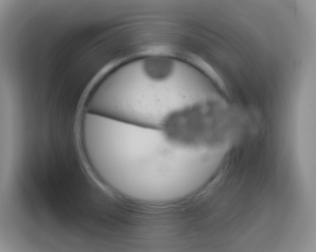 X0000114071331200910051008