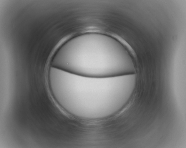 X0000114071333200910051008