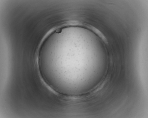 X0000114071334200910051008