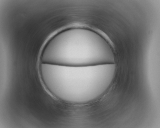 X0000114071335200910051008