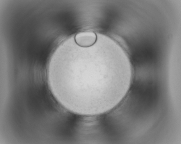 X0000114071338200910051008