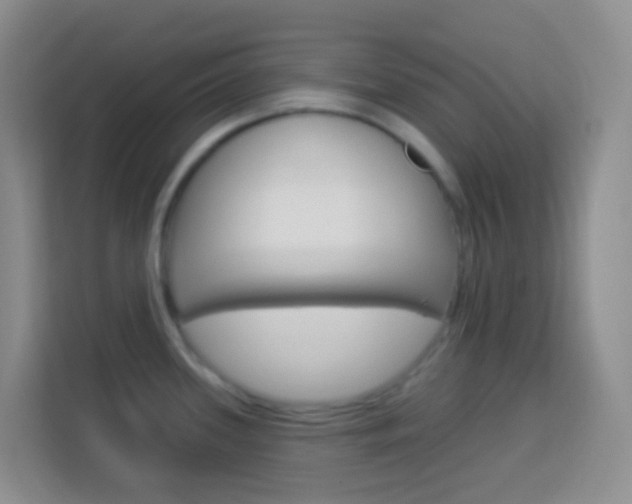 X0000114071339200910051008