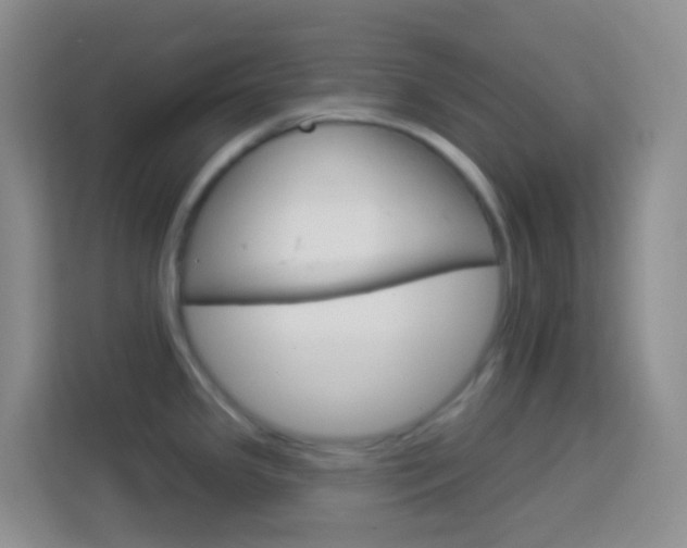 X0000114071341200910051008