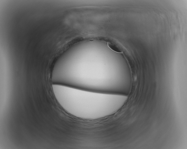 X0000114071348200910051007