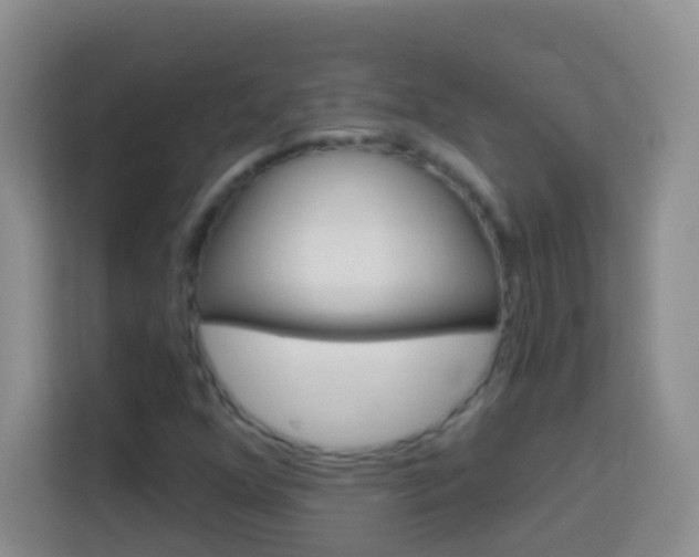 X0000114071352200910051007