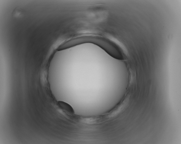 X0000114071357200910051007