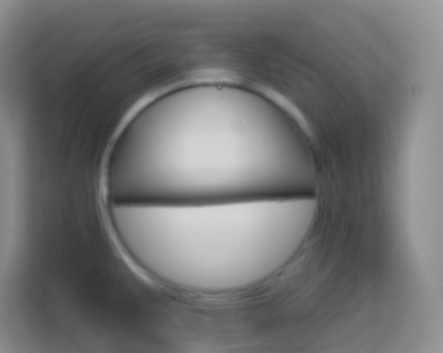 X0000114071383200910051007