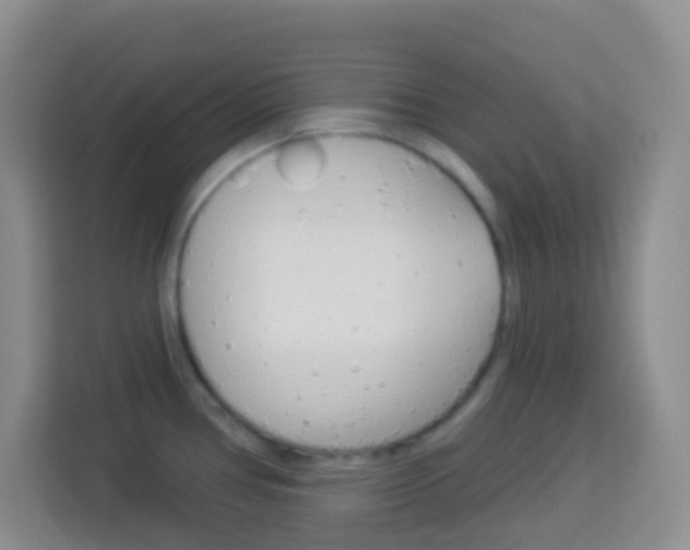 X0000114071386200910051007