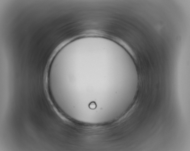 X0000114071387200910051007