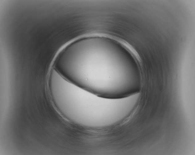 X0000114071388200910051007