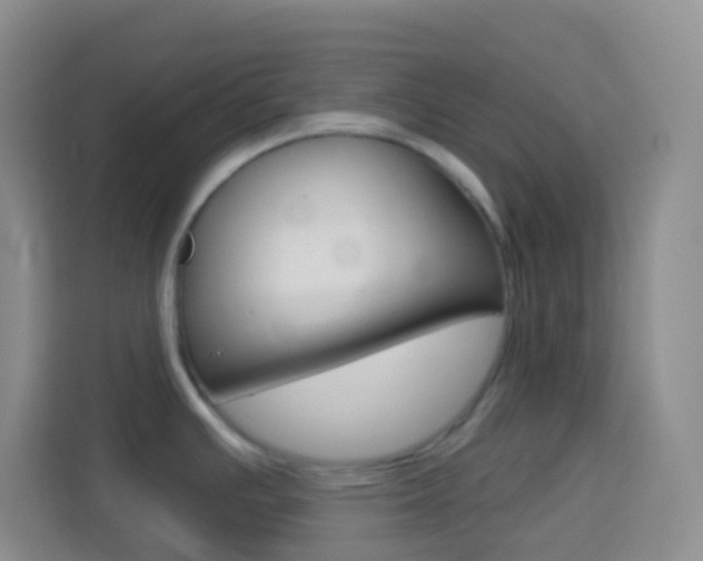 X0000114071391200910051007
